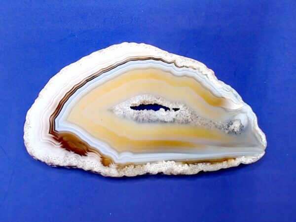 IMG_20251220_121248_edit_15078642901851