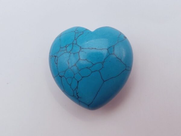 IMG_20251221_203458_edit_13250267860830