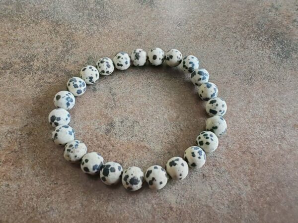 4d43e204-98b4-44a6-91fb-c9caafc74dce