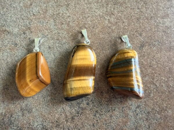 51bcfc1f-3e64-4dcb-a997-c55b6e628221 (1)